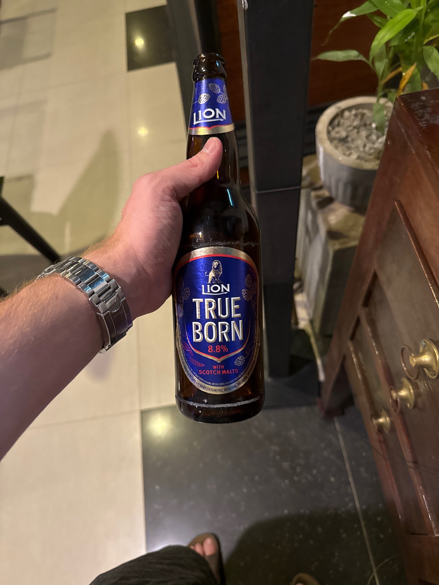 Lion true born, Sri Lanka