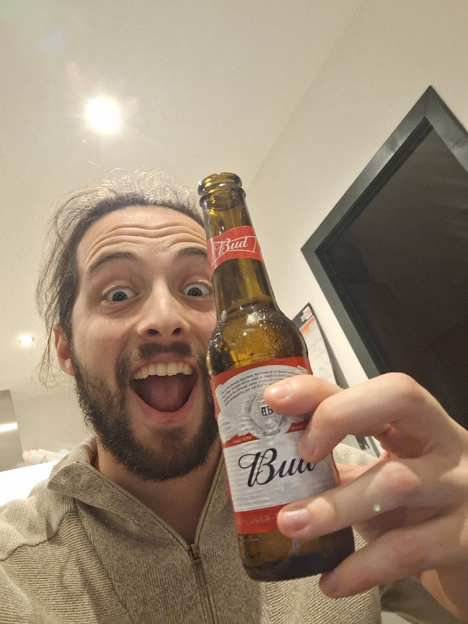 Budweiser / Bud, Anheuser-Busch InBev