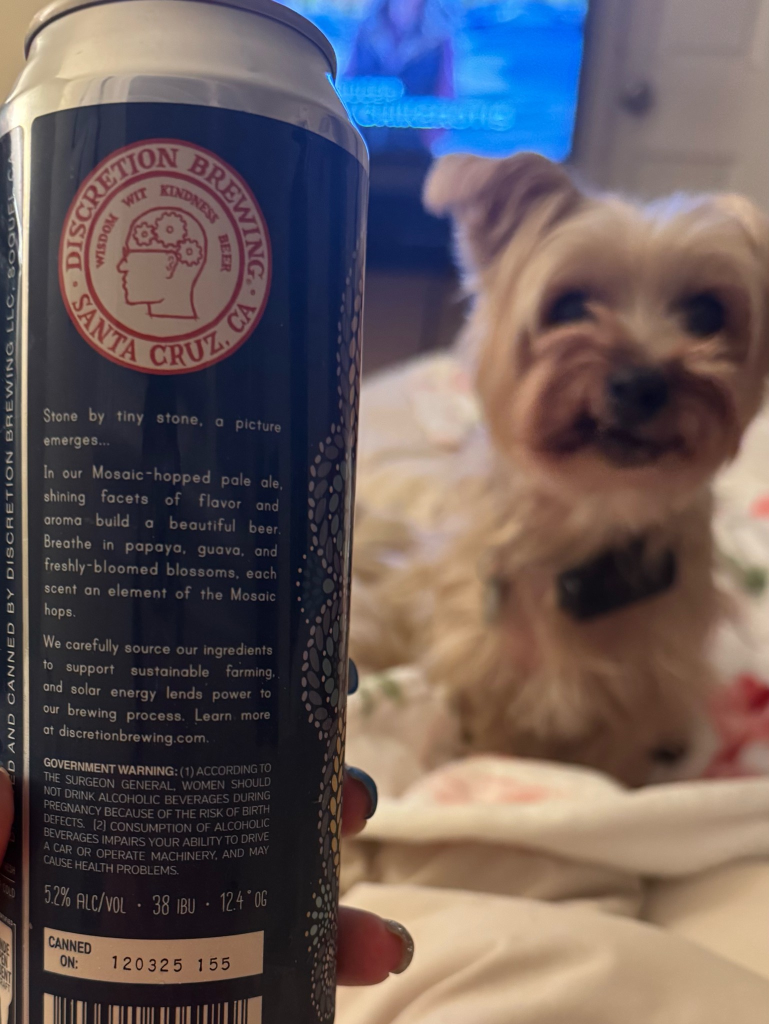 Pebble Project Pale Ale, Discretion Brewing