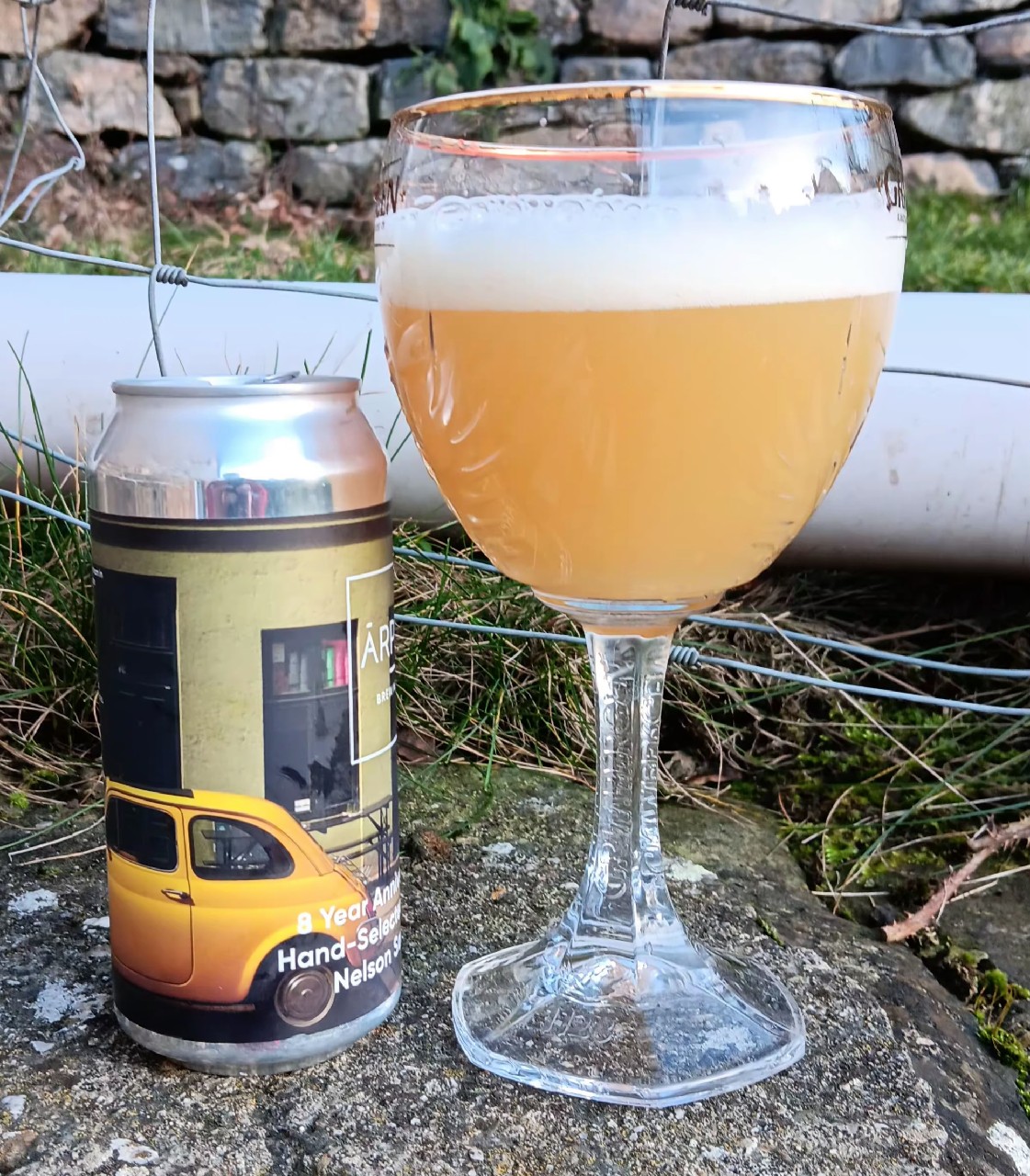 8 Year Anniversary TDH Hand-Selected Motueka X Nelson Sauvin IPA, Latvia