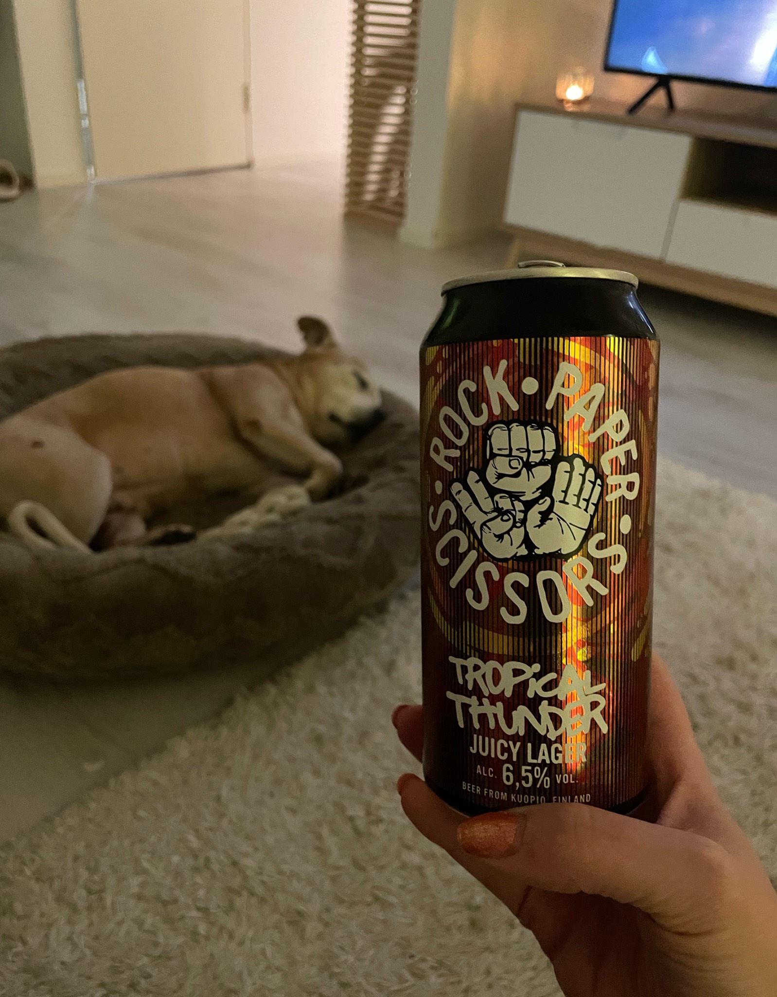 Tropical Thunder, Finland