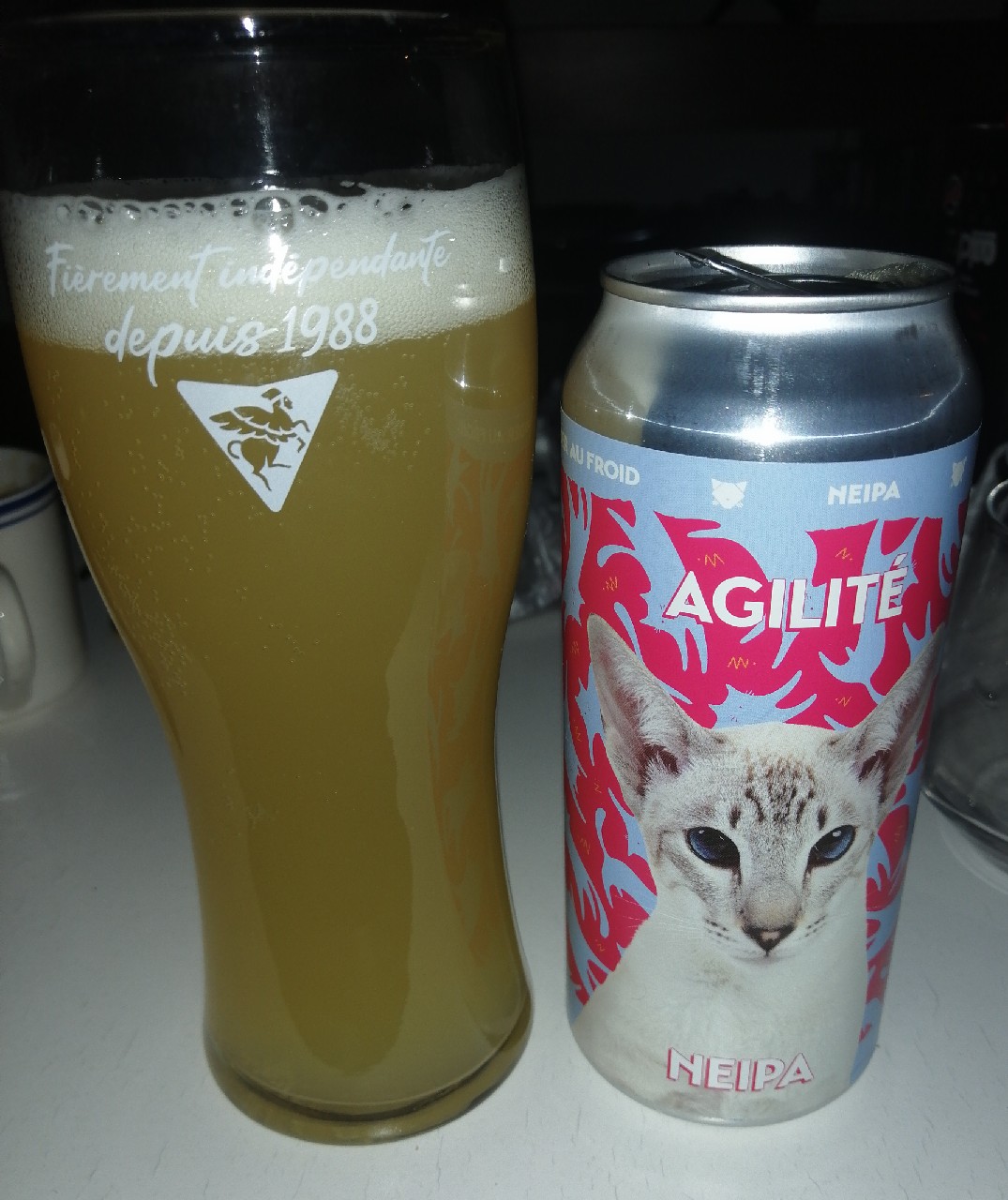 agilité, Noctem Artisans Brasseurs