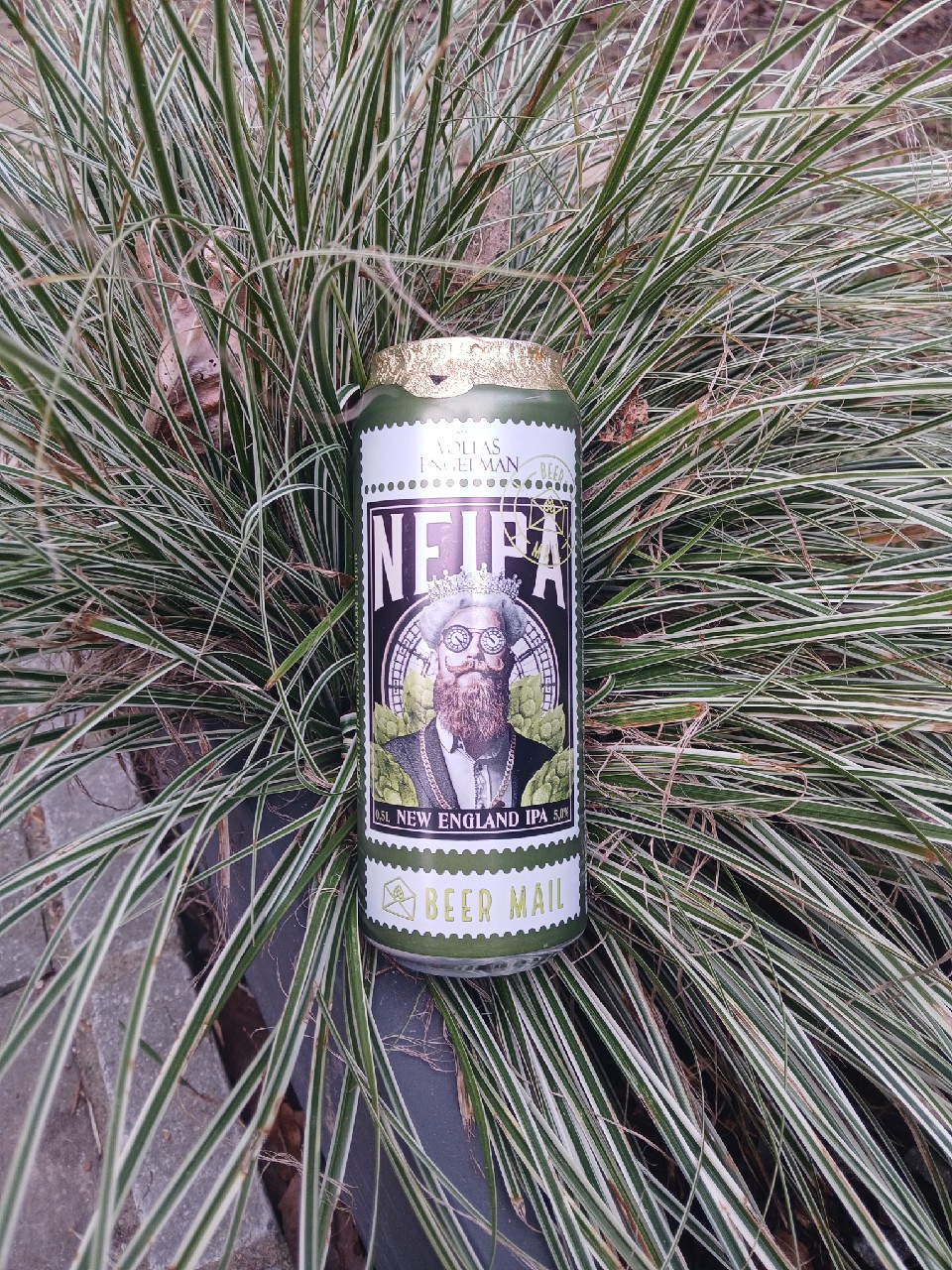 Volfas Engelman NEIPA, Lithuania