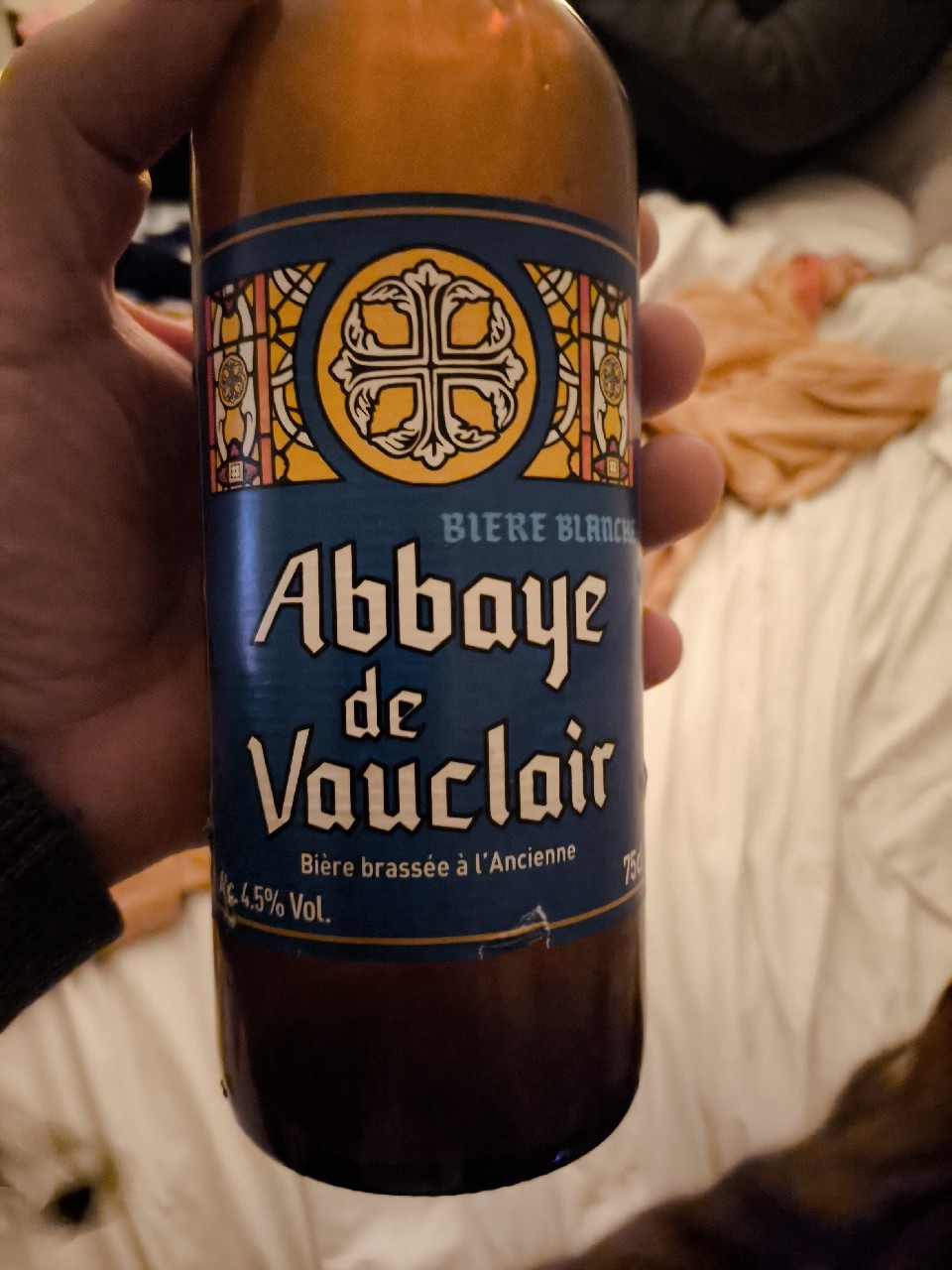 Abbaye De Vauclair - Blanche, France