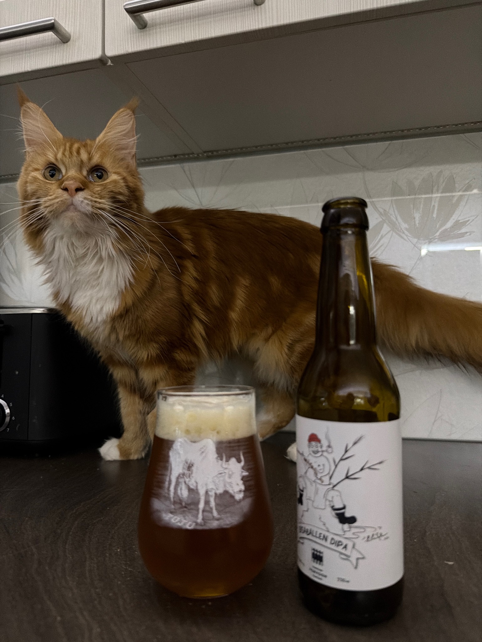 Bisaballen DIPA, Finland