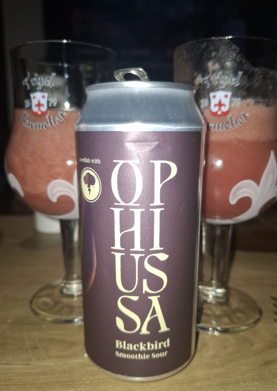 Blackbird, Ophiussa Brewing Co.