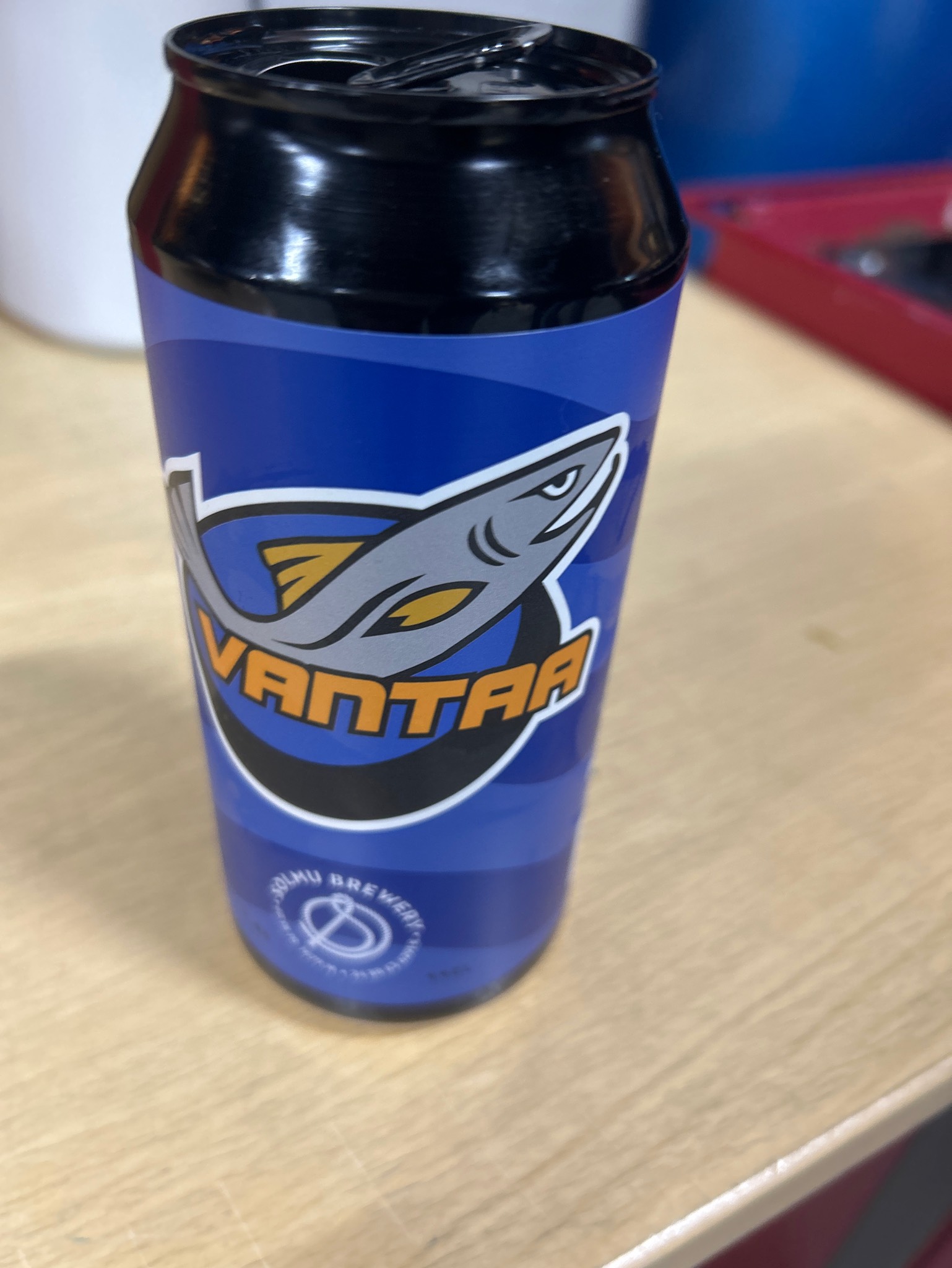 Siniverinen Lager, Finland