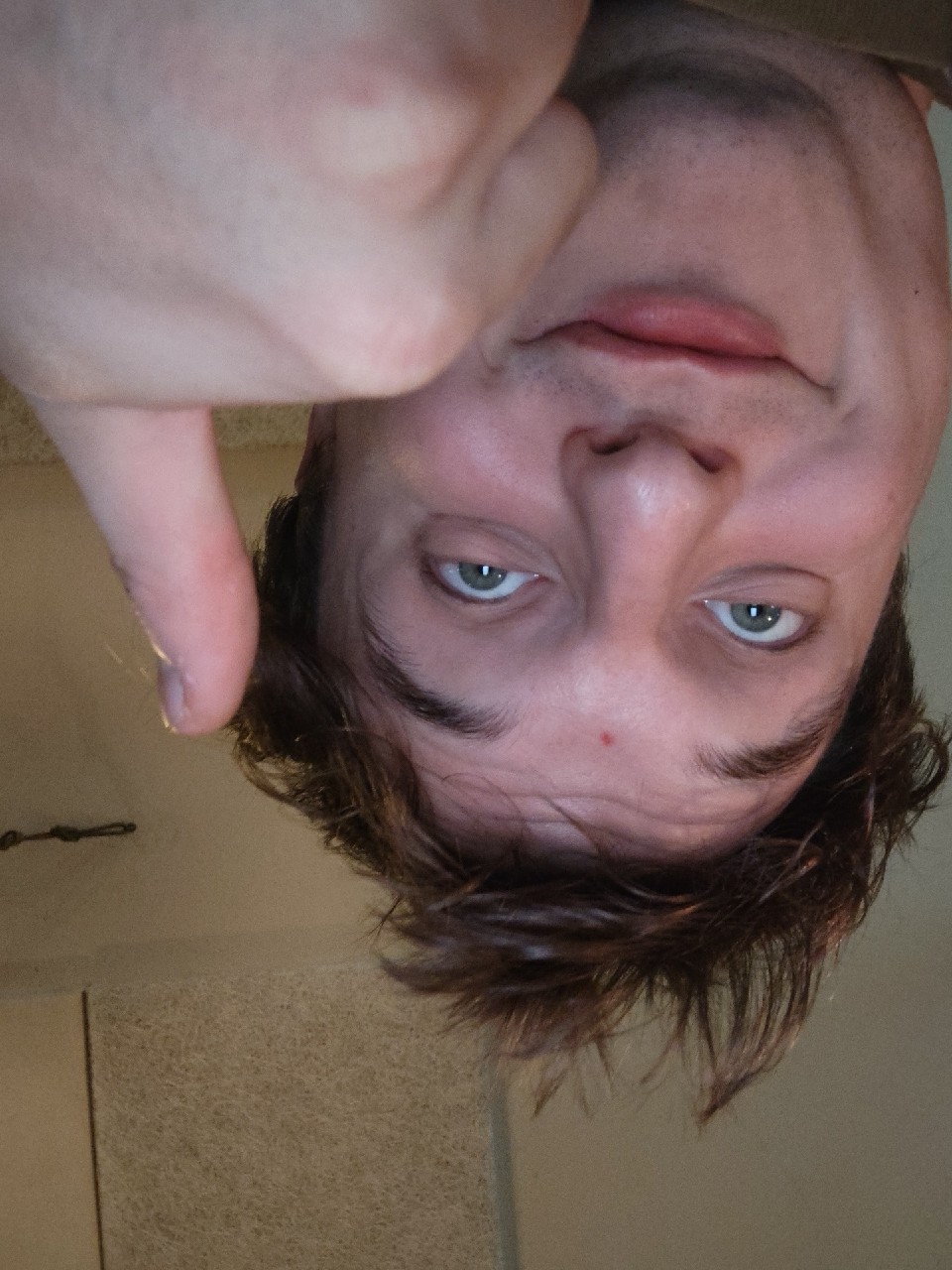 Stressed Depressed Lemon Zest, Denmark