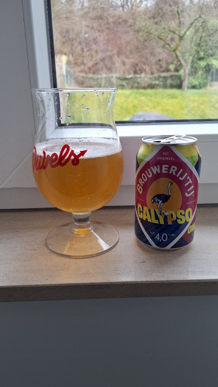 Calypso, Netherlands