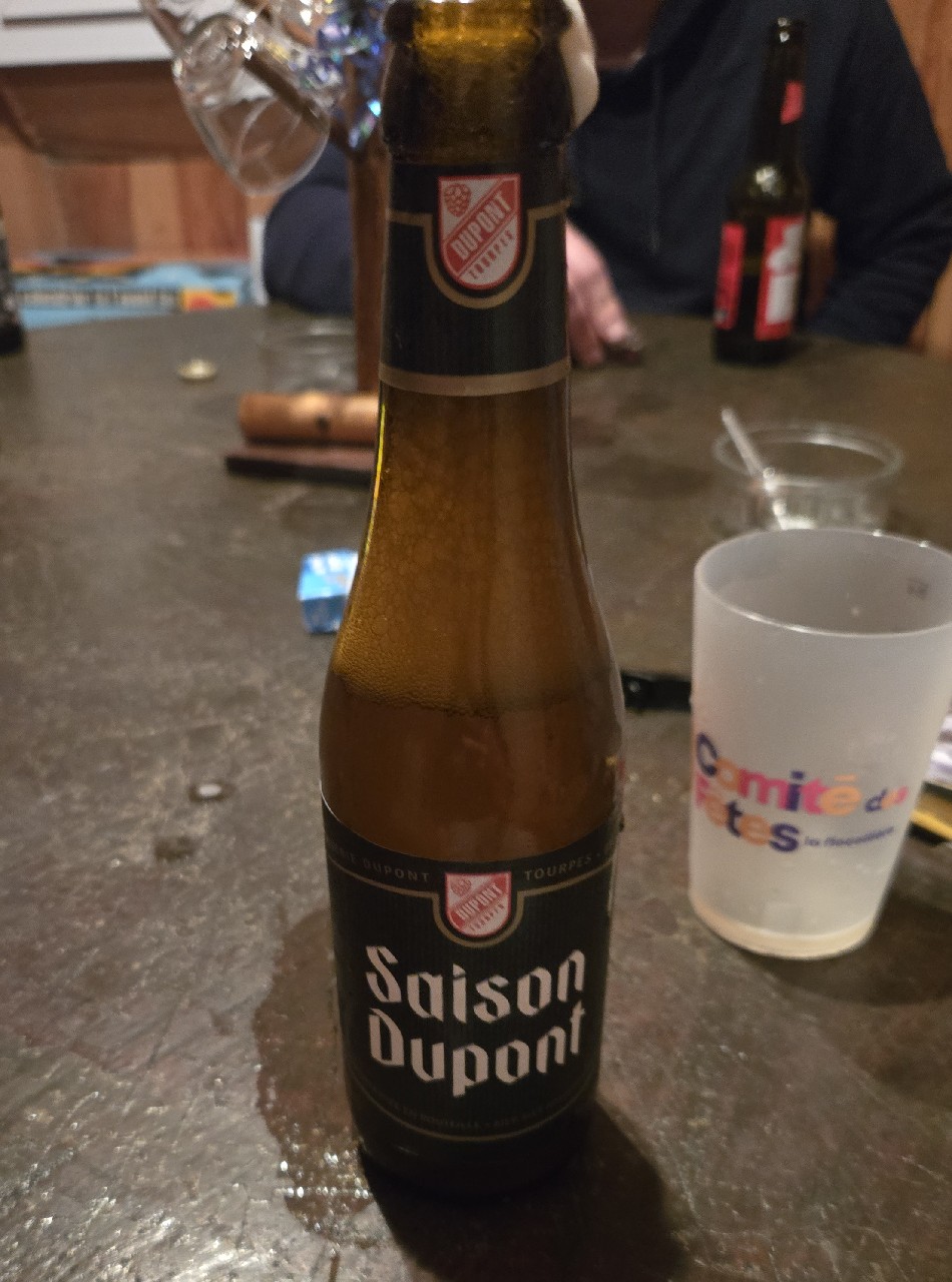 Saison Dupont, Belgium