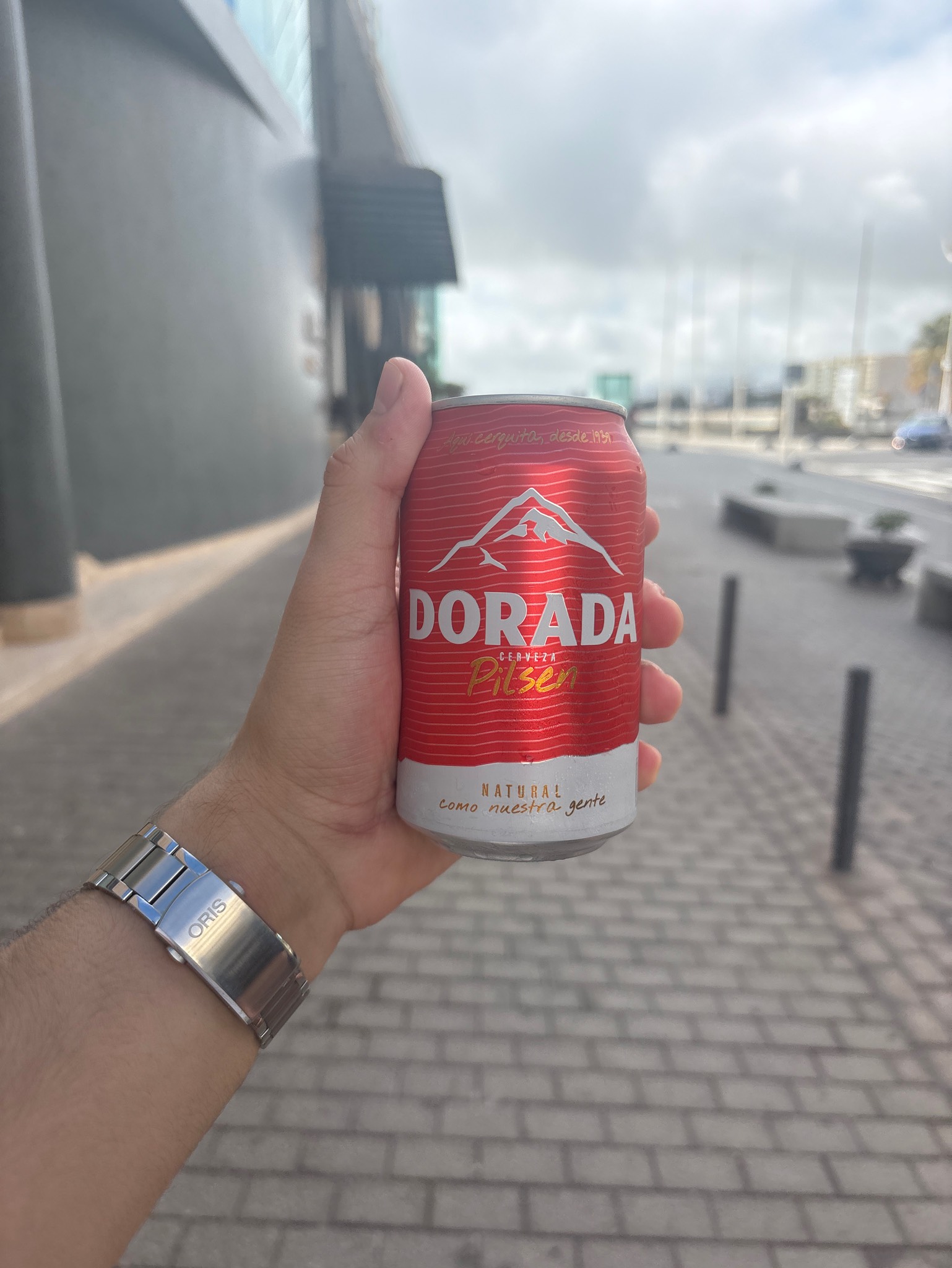 Dorada Pilsen, Spain