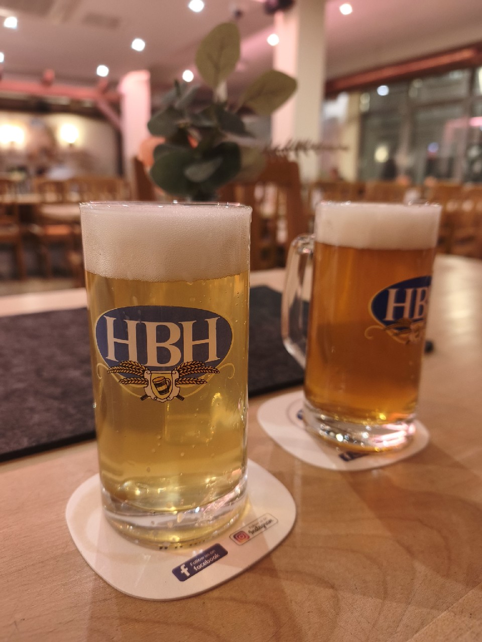 fuldaer kleines helles, Germany