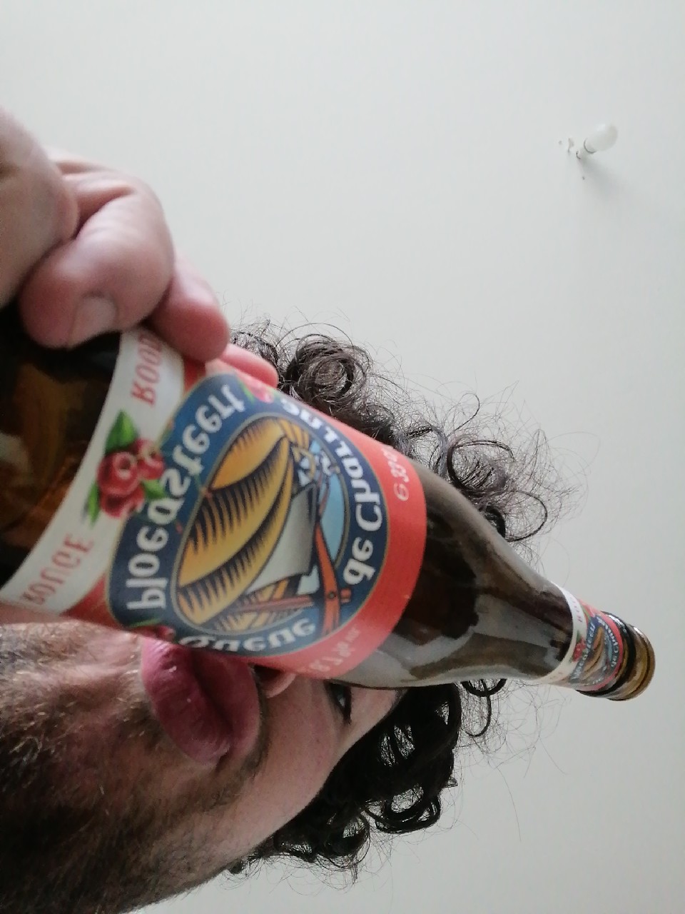 Queue de Charrue Rouge / Ploegsteert Rood, Belgium