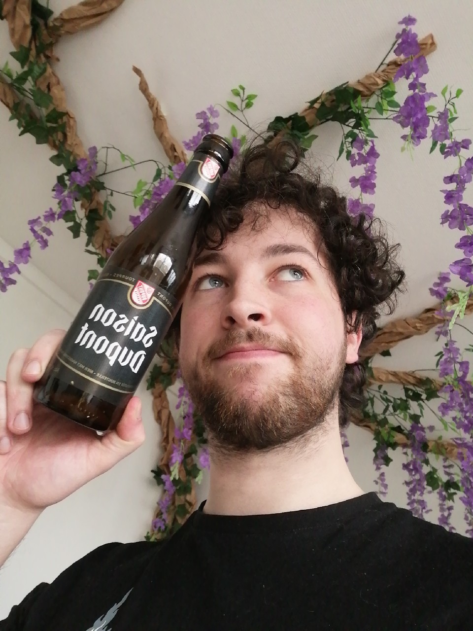 Saison Dupont, Belgium