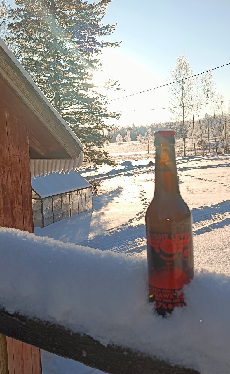 Charlie Sierra November Squawk Ident #7, Finland