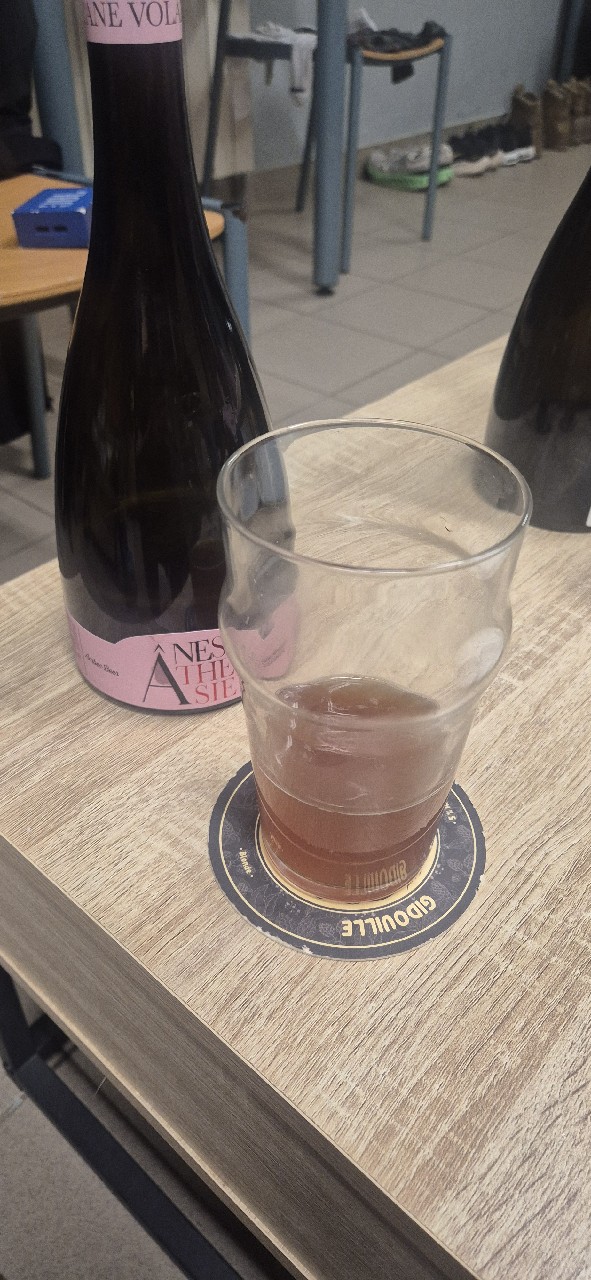 Ânesthésie, Brasserie De L'Âne Volant