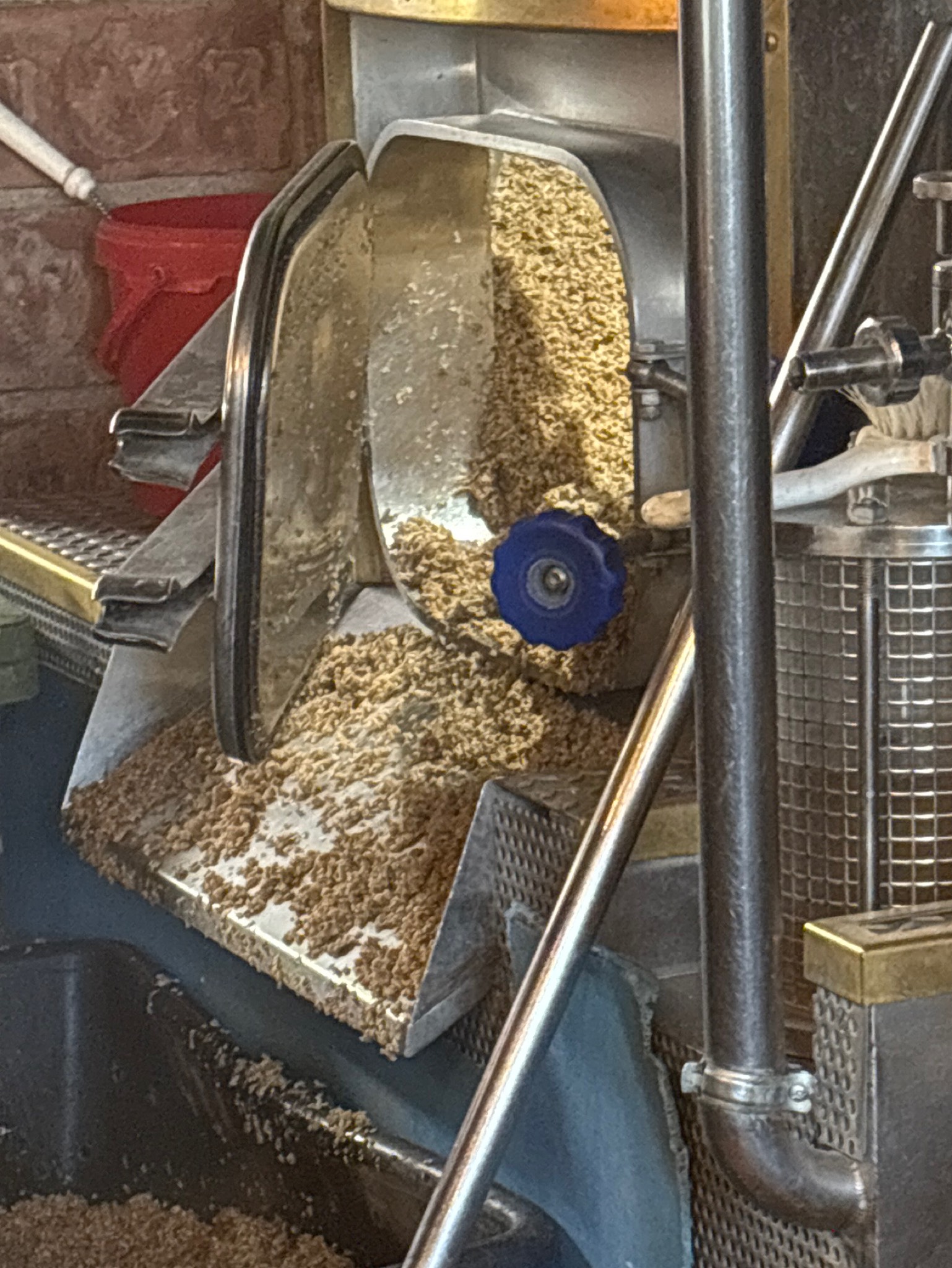 Divine light ddh IPA, 1516 Brewing Company