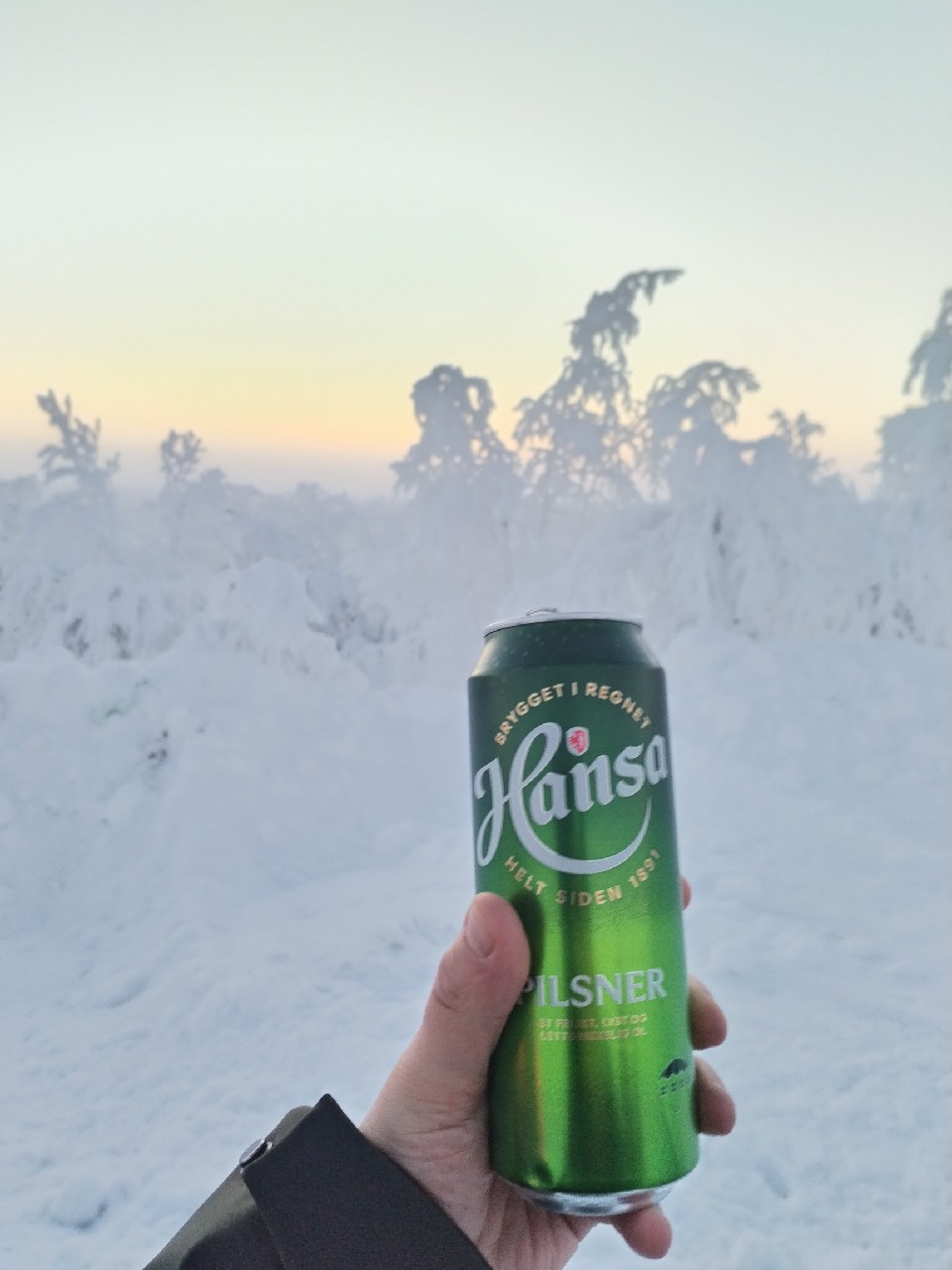 Hansa Pilsner, Hansa Borg Bryggerier (Royal Unibrew)