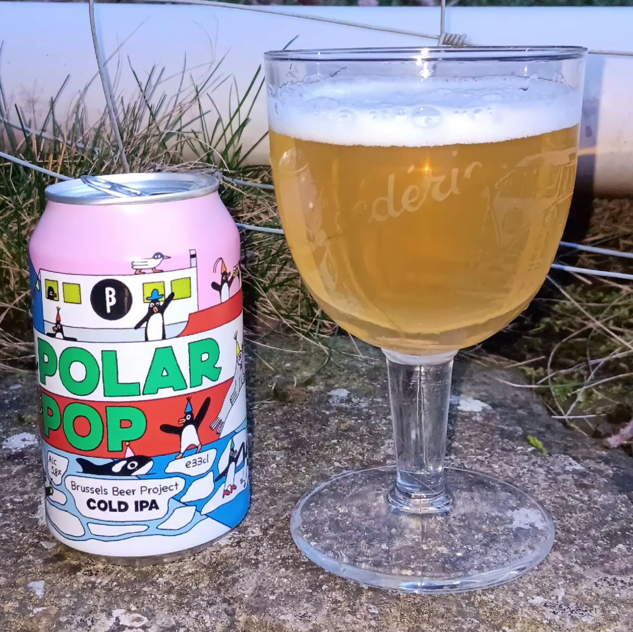 Polar Pop, Belgium