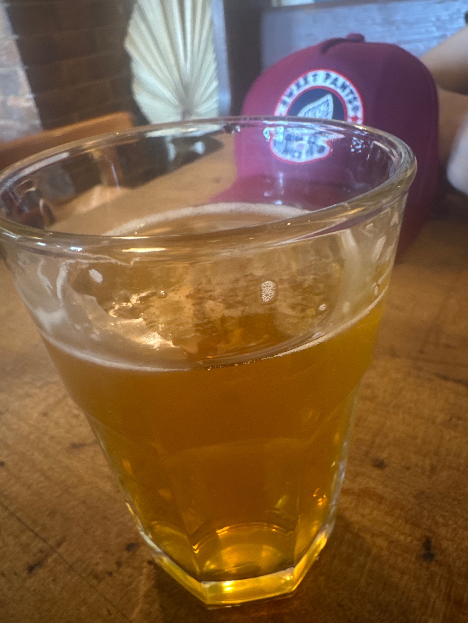 GOAT Tasty Pale Ale, Mountain Goat Beer