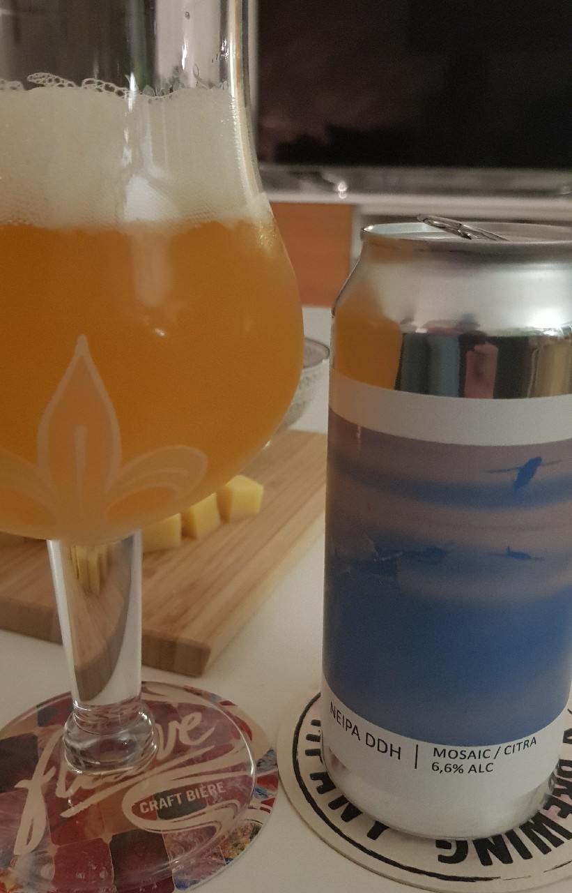 NEIPA DDH Mosaic / Citra, France