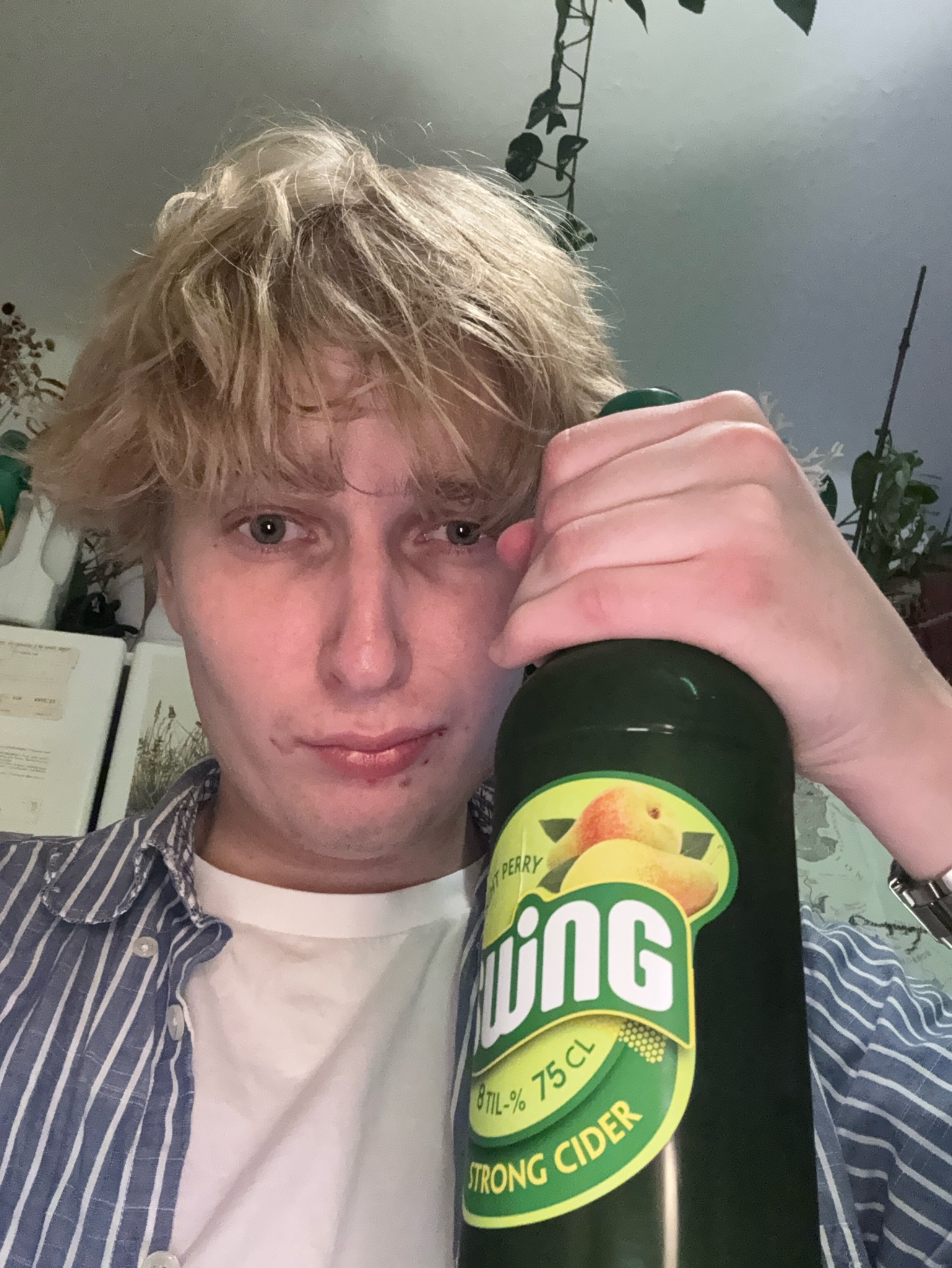 Swing Light Perry Strong Cider, Pernod Ricard Finland