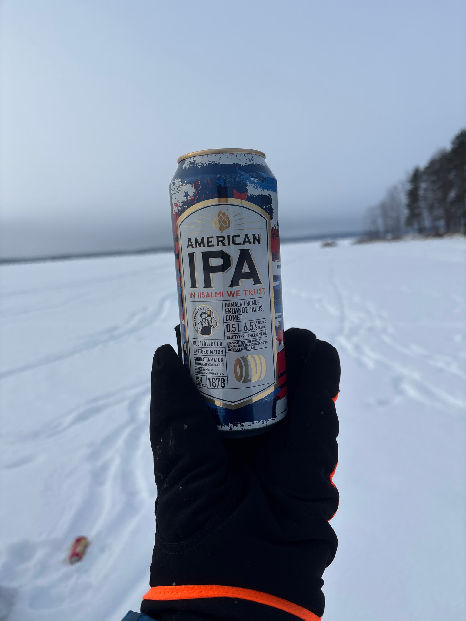 American IPA, Finland