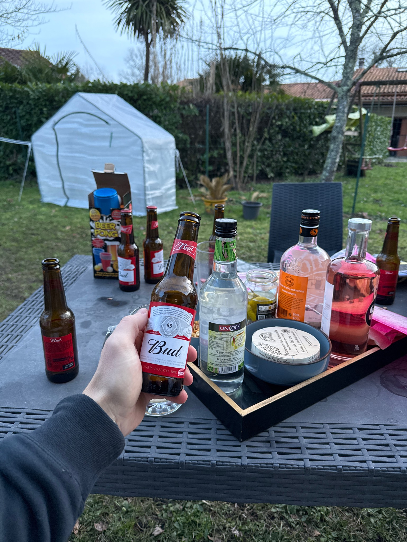 Budweiser / Bud, Anheuser-Busch InBev