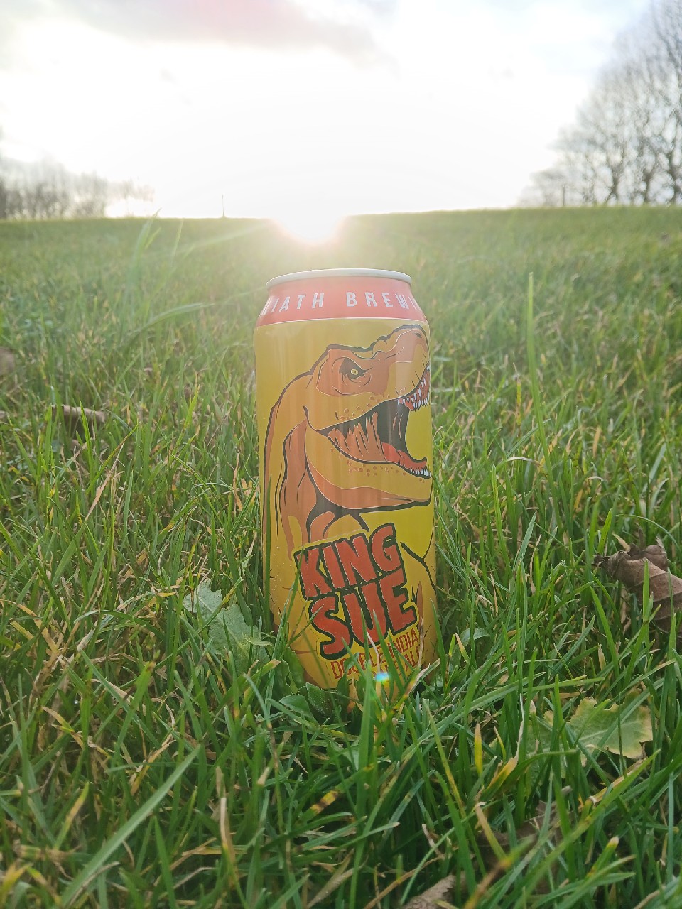 King Sue, United States