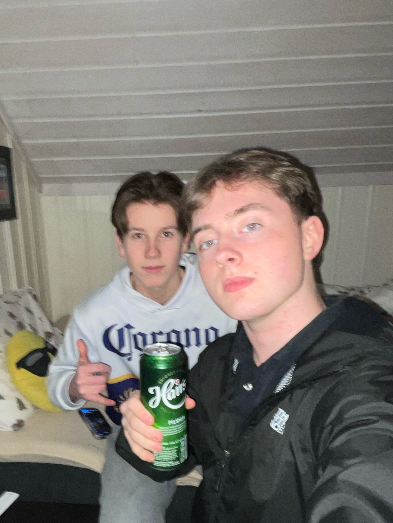 Hansa Pilsner, Hansa Borg Bryggerier (Royal Unibrew)