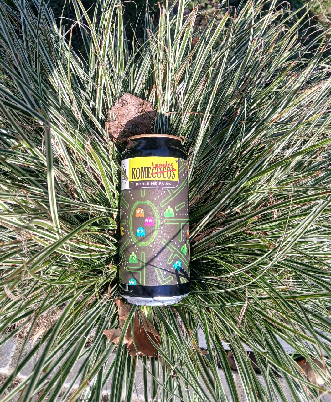 komelupulos, Kom Beer