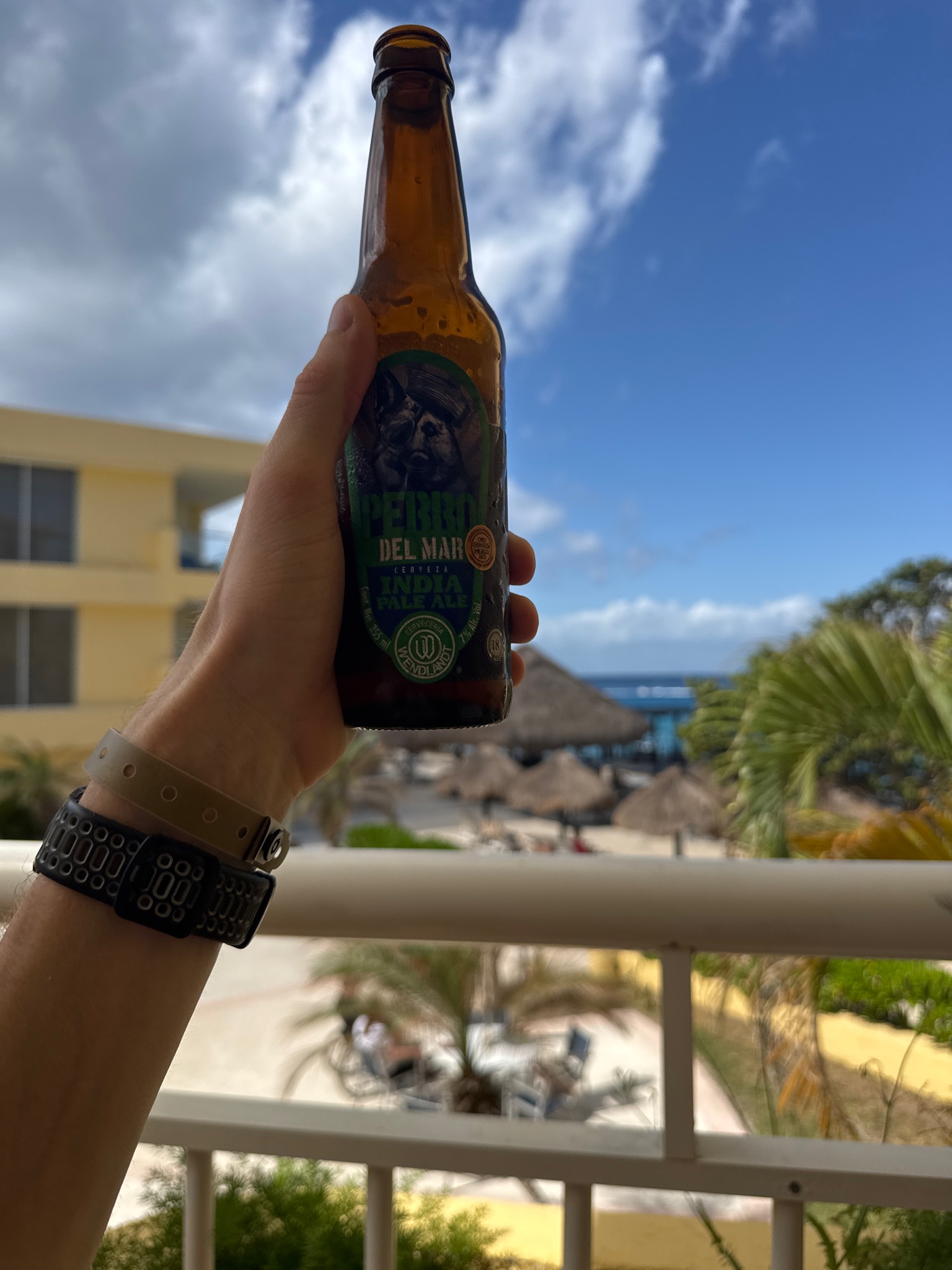 Perro del Mar, Wendlandt Cerveceria