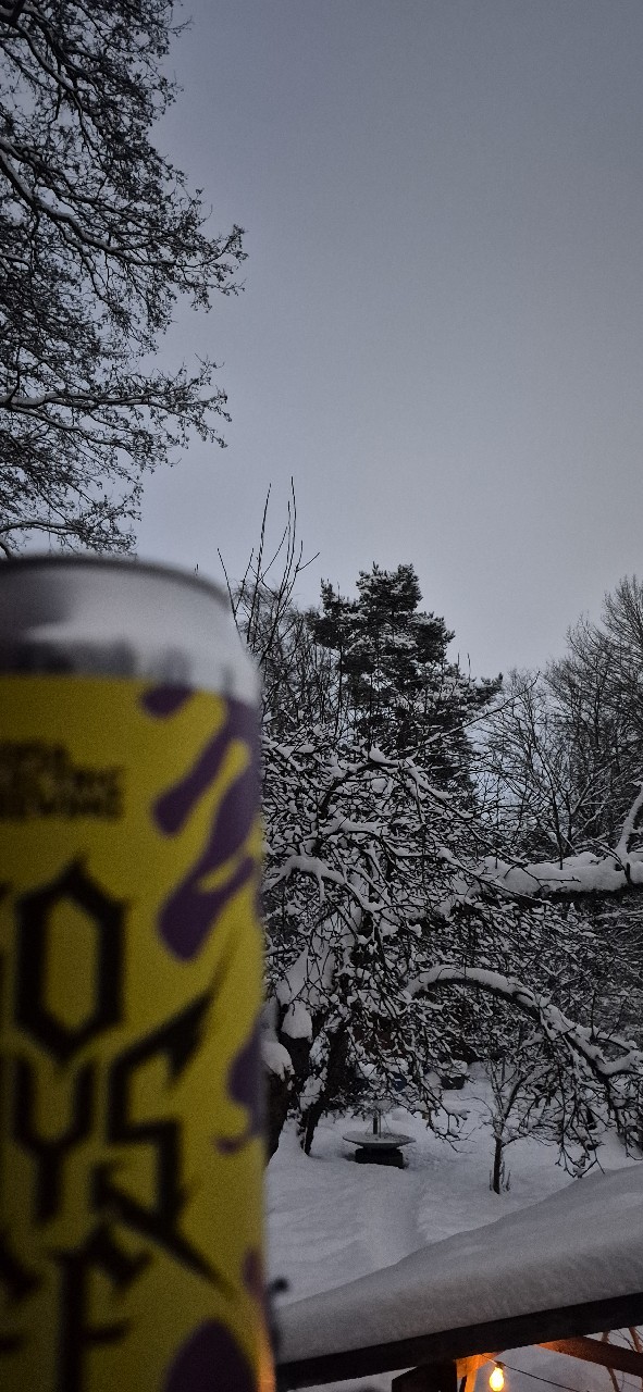 30 Days Off, Sofia Electric Brewing