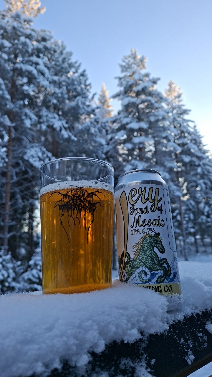 Very Fond Of Mosaic, Finland