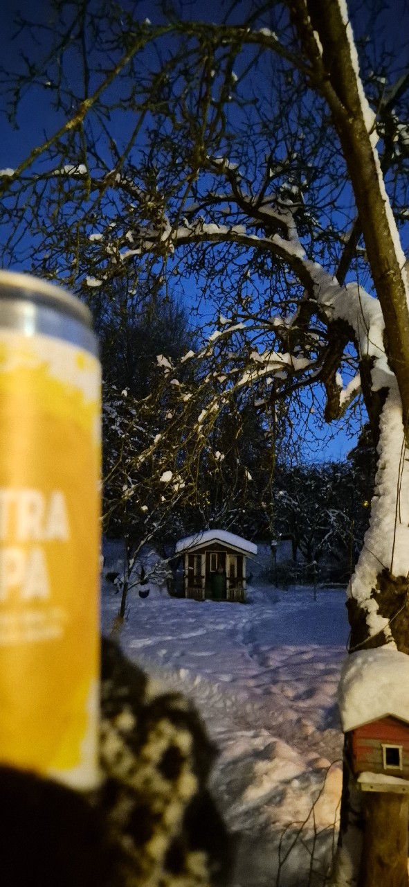 All Citra DDH IPA, Friends Company