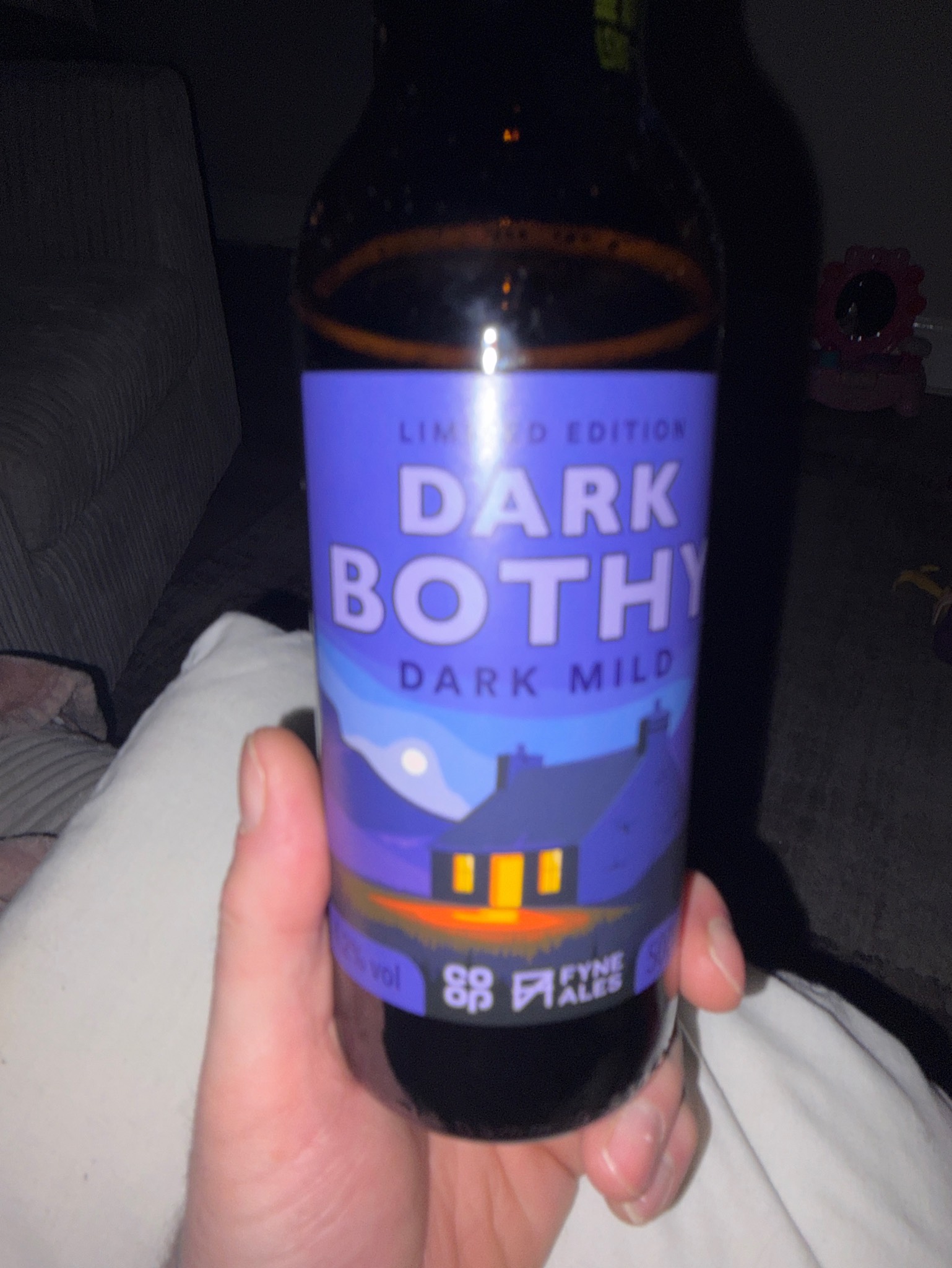 Dark Bothy, Scotland