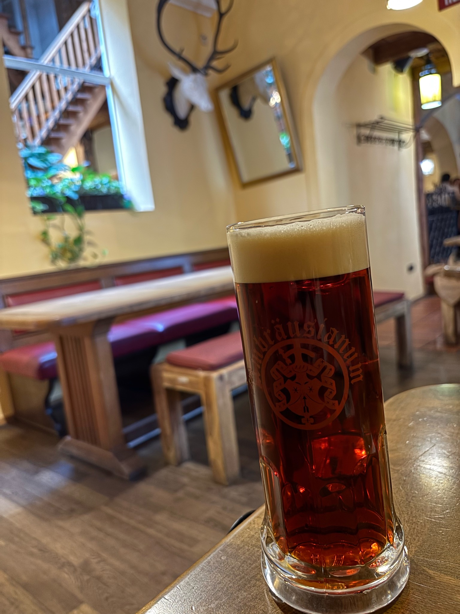 Bock, Gasthausbrauerei Ambräusianum