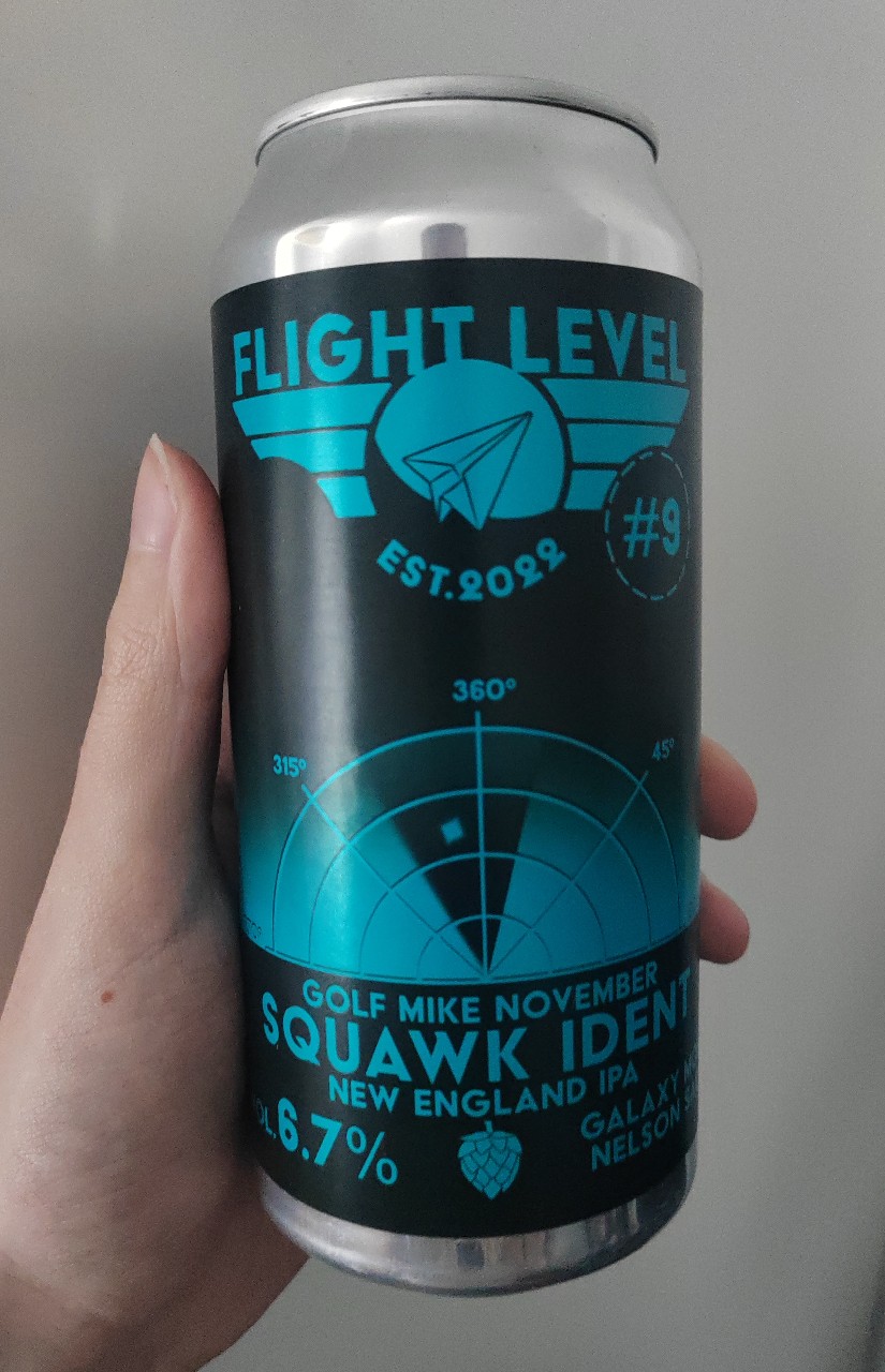 golf mike november squawk ident, Finland