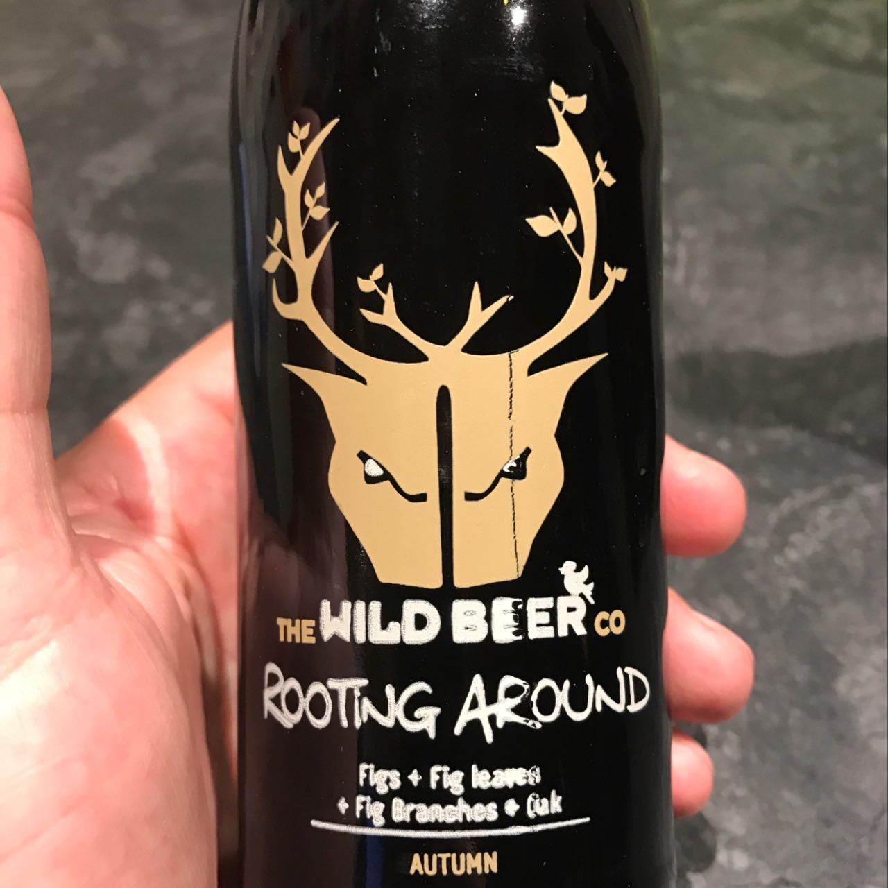 Rooting Around Spring, England