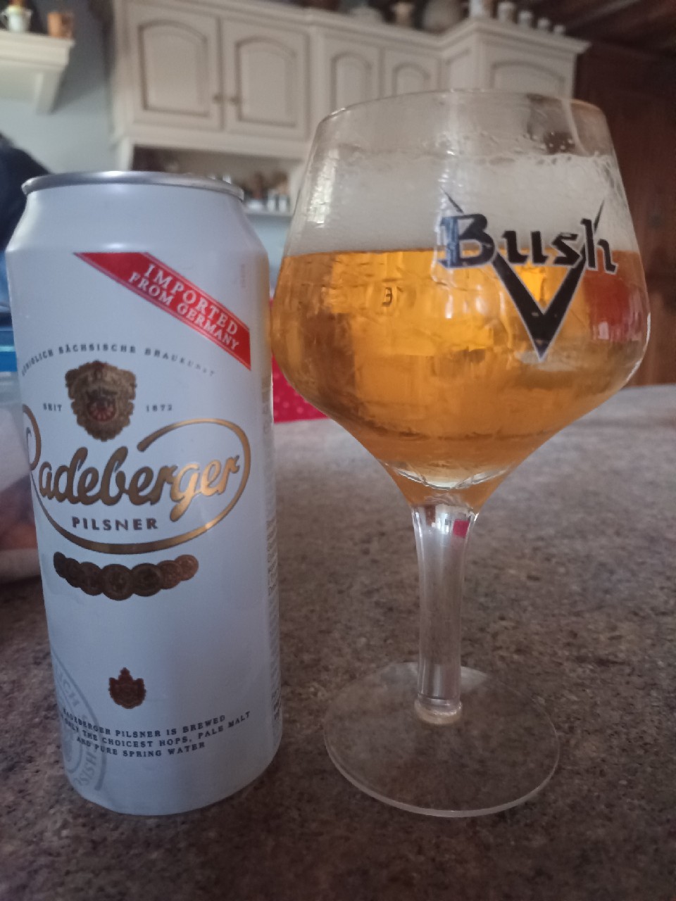 Radeberger Pilsner, Radeberger Gruppe