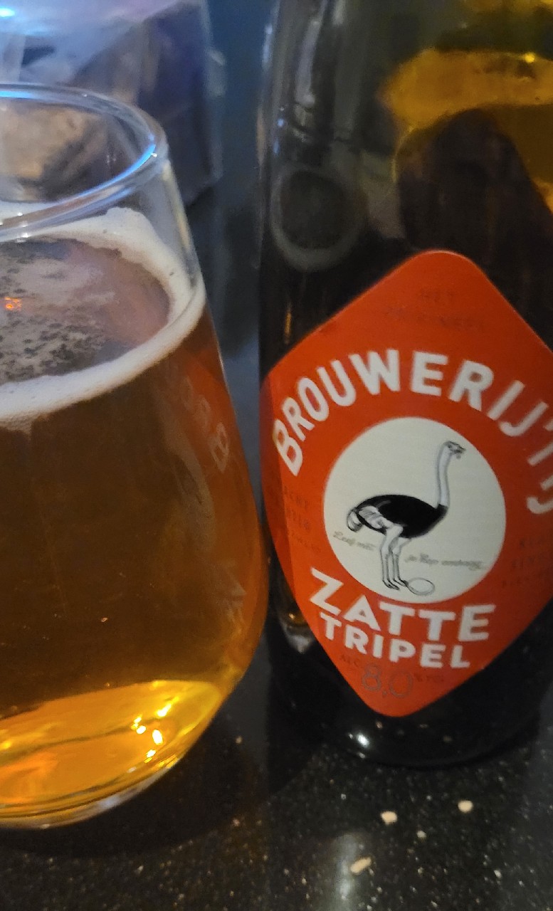 brouwerij'tij tripel, Brouwerij 't IJ