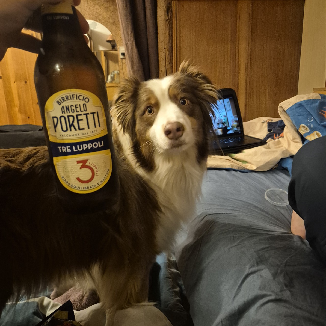 3 Luppoli / Tre Luppoli, Italy