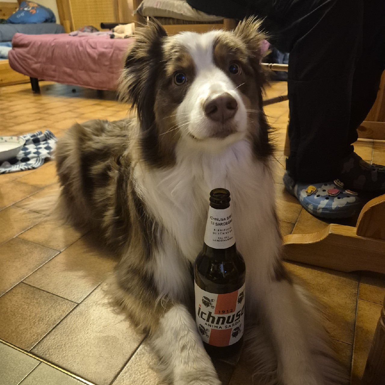 Ichnusa Anima Sarda, Italy