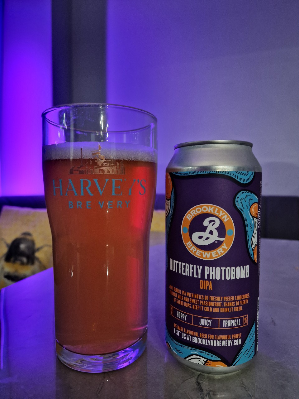 Butterfly Photobomb, United States