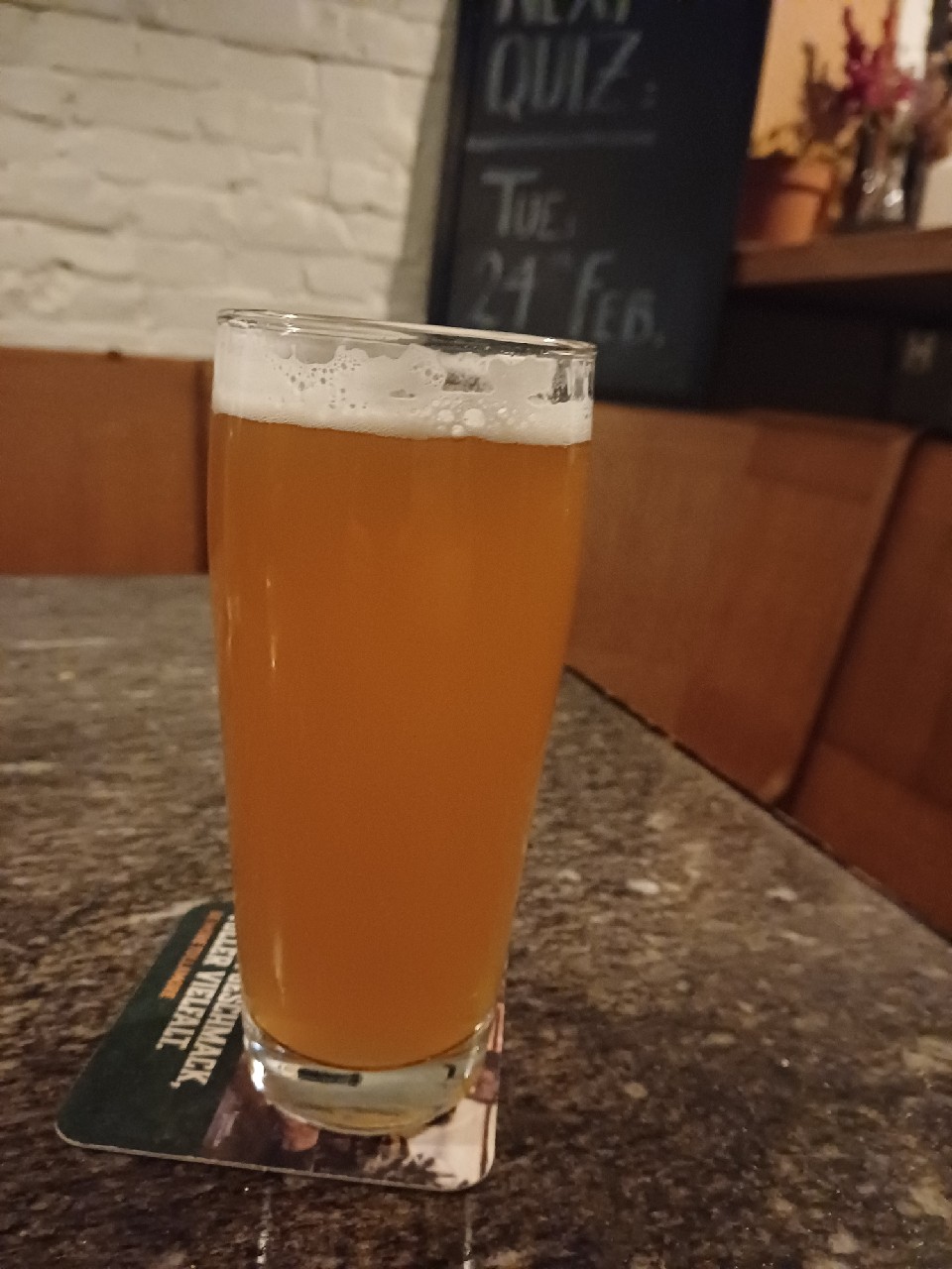 Looking Goat, The Baby Goat