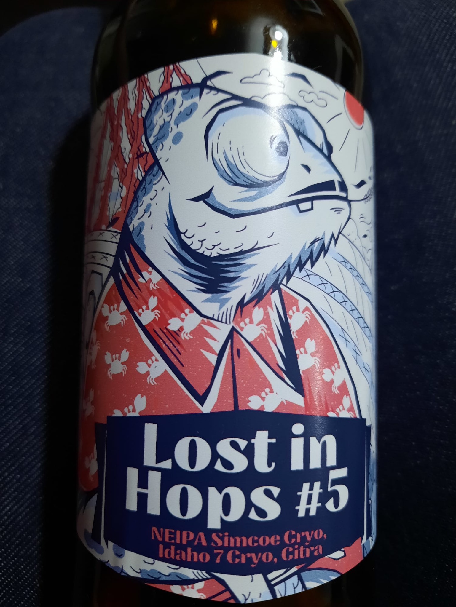 Lost in hops #5, Brasserie D'Orville