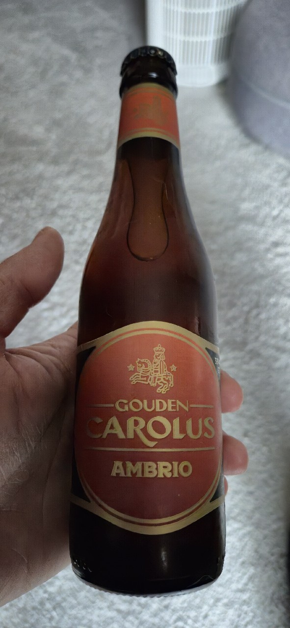 Gouden Carolus Ambrio, Belgium