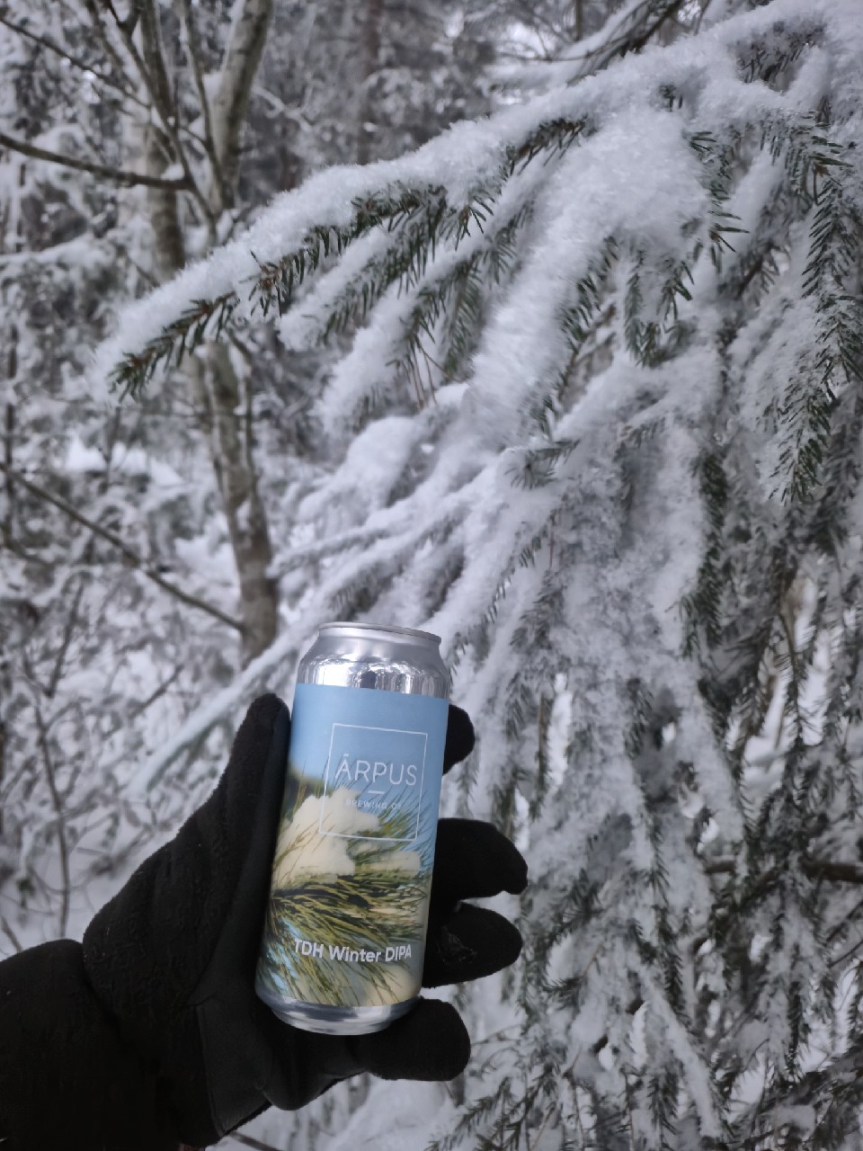 TDH Winter DIPA, Latvia