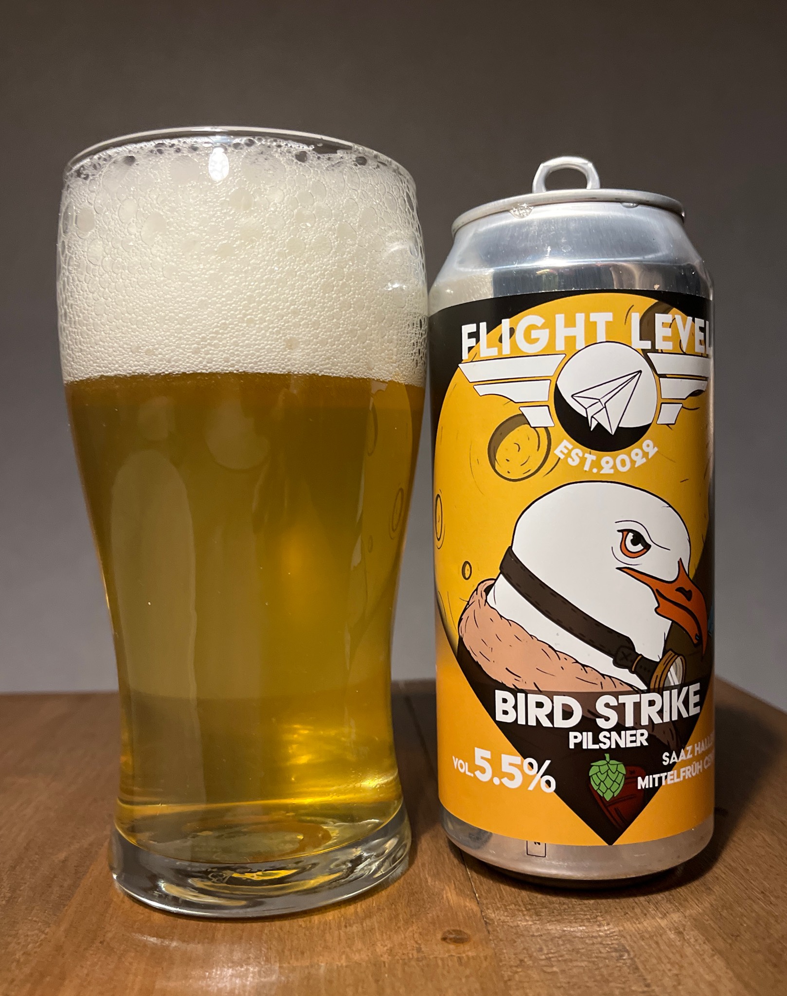 Bird Strike, Finland