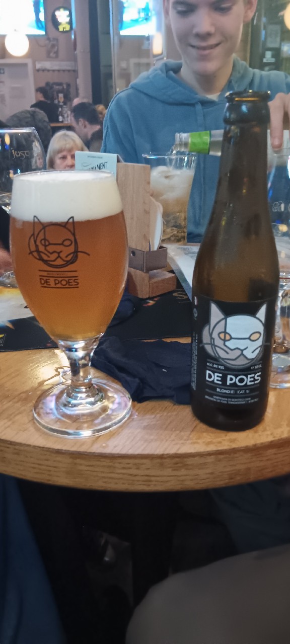 De Poes Blond(e) (Cat. 5), Brouwerij De Poes